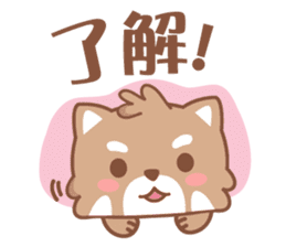 Raccoon w.c (Daily languages) sticker #6659875