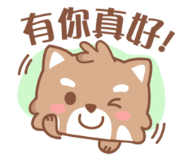 Raccoon w.c (Daily languages) sticker #6659881