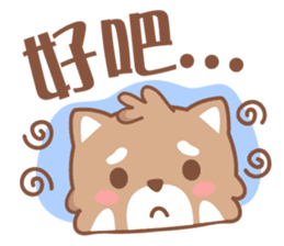 Raccoon w.c (Daily languages) sticker #6659883