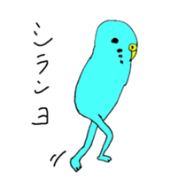 colorful budgerigar man sticker #6659952