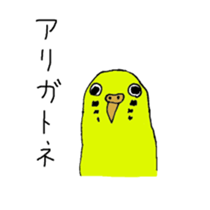 colorful budgerigar man sticker #6659953