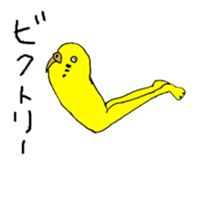 colorful budgerigar man sticker #6659966