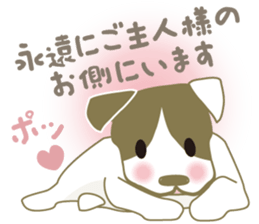 Jack Russell Terrier dog shy ver.2 sticker #6659969