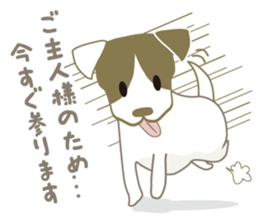 Jack Russell Terrier dog shy ver.2 sticker #6659970