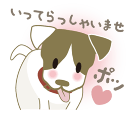 Jack Russell Terrier dog shy ver.2 sticker #6659971