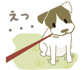Jack Russell Terrier dog shy ver.2 sticker #6659972