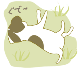 Jack Russell Terrier dog shy ver.2 sticker #6659974