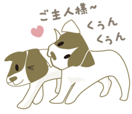 Jack Russell Terrier dog shy ver.2 sticker #6659977