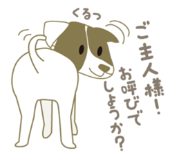 Jack Russell Terrier dog shy ver.2 sticker #6659981