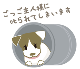 Jack Russell Terrier dog shy ver.2 sticker #6659983