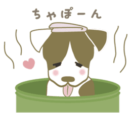 Jack Russell Terrier dog shy ver.2 sticker #6659984