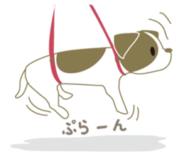 Jack Russell Terrier dog shy ver.2 sticker #6659986