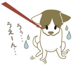 Jack Russell Terrier dog shy ver.2 sticker #6659987