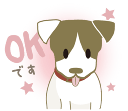 Jack Russell Terrier dog shy ver.2 sticker #6659989