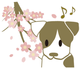 Jack Russell Terrier dog shy ver.2 sticker #6659991