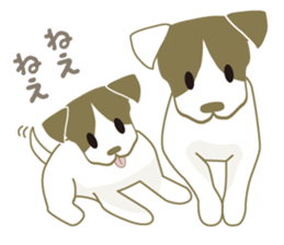 Jack Russell Terrier dog shy ver.2 sticker #6659992
