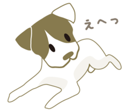 Jack Russell Terrier dog shy ver.2 sticker #6659993