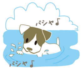 Jack Russell Terrier dog shy ver.2 sticker #6659995