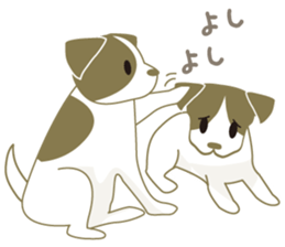 Jack Russell Terrier dog shy ver.2 sticker #6659996