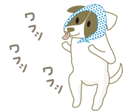 Jack Russell Terrier dog shy ver.2 sticker #6659998