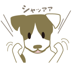 Jack Russell Terrier dog shy ver.2 sticker #6660000