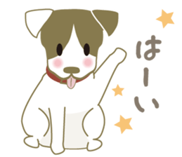 Jack Russell Terrier dog shy ver.2 sticker #6660002