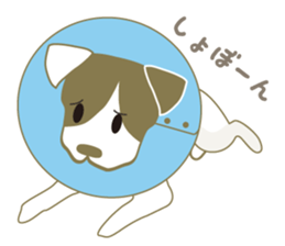 Jack Russell Terrier dog shy ver.2 sticker #6660003
