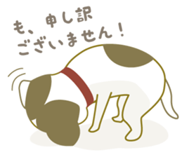 Jack Russell Terrier dog shy ver.2 sticker #6660006