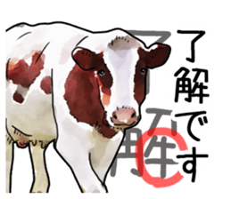 Watercolor cattle sticker sticker #6661888