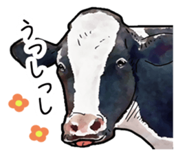 Watercolor cattle sticker sticker #6661890
