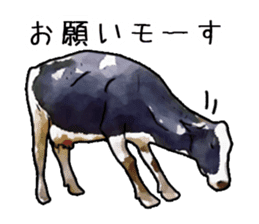 Watercolor cattle sticker sticker #6661891