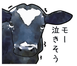 Watercolor cattle sticker sticker #6661894