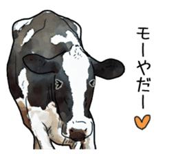 Watercolor cattle sticker sticker #6661901