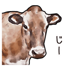 Watercolor cattle sticker sticker #6661904