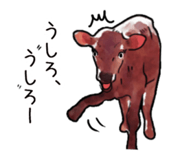 Watercolor cattle sticker sticker #6661905