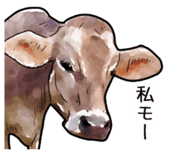 Watercolor cattle sticker sticker #6661911