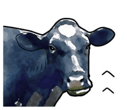 Watercolor cattle sticker sticker #6661916