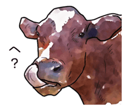 Watercolor cattle sticker sticker #6661917