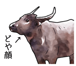 Watercolor cattle sticker sticker #6661922