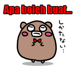 A cat and bear (Indonesian) sticker #6662747