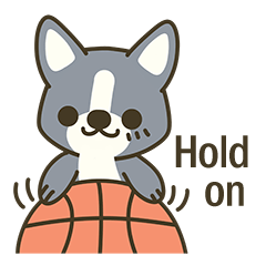 Little black-Corgi-dog