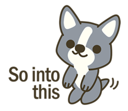 Little black-Corgi-dog sticker #6664217