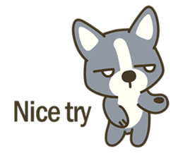 Little black-Corgi-dog sticker #6664220