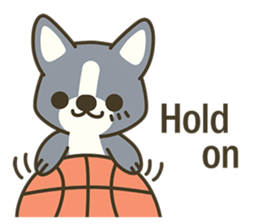 Little black-Corgi-dog sticker #6664231