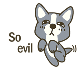 Little black-Corgi-dog sticker #6664246