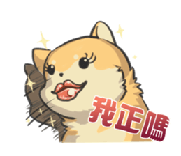Shiba HATI BowBow 2 sticker #6664277