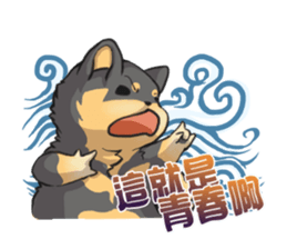 Shiba HATI BowBow 2 sticker #6664284