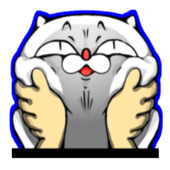 cat of an impudent face2