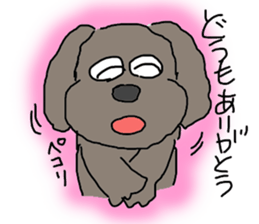 Cute and funy Toy Poodle charactor sticker #6666112
