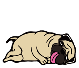 Pug is Lovely dog. sticker #6668057